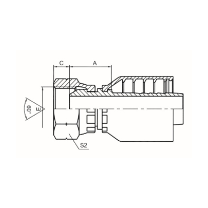 BSP FEMALE 60° CONE