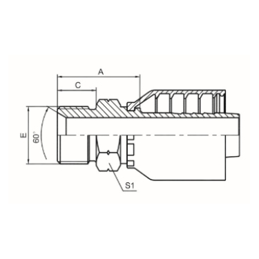 BSP MALE 60 ° CONE