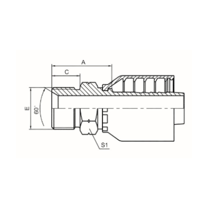 BSP MALE 60 ° CONE